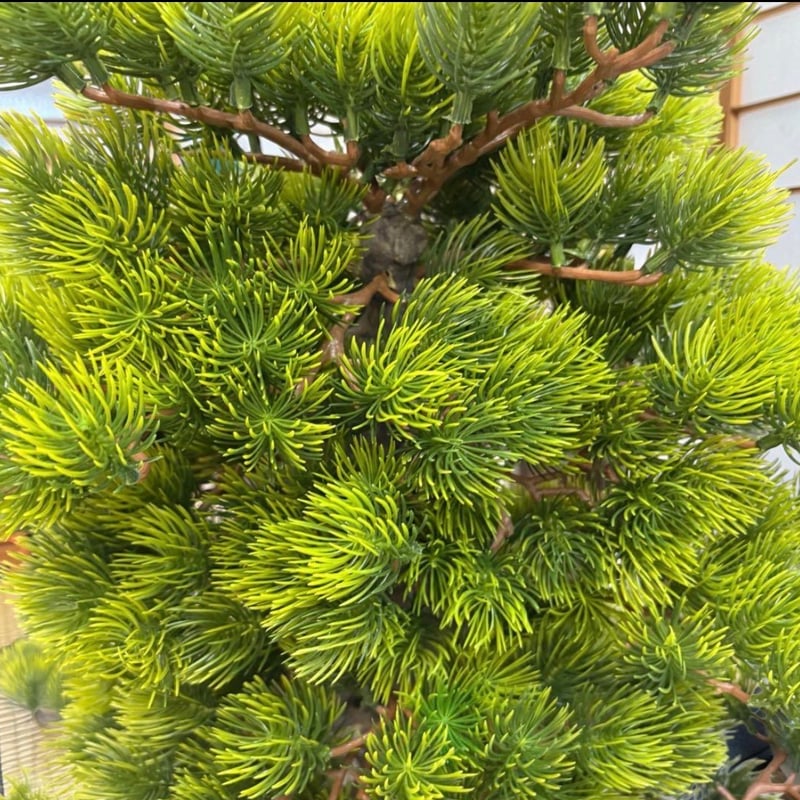 光触媒　人工観葉植物　ウォールグリーン　フェイクグリーン　盆栽7376 光触媒 人工観葉植物 ウォールグリーン フェイクグリーン 盆栽7376