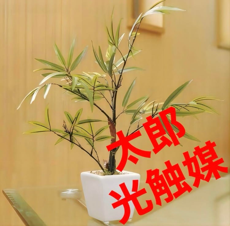 光触媒　人工観葉植物　ウォールグリーン　フェイクグリーン　黒竹1.35m 光の楽園 光触媒 人工観葉植物 ウォールグリーン フェイクグリーン