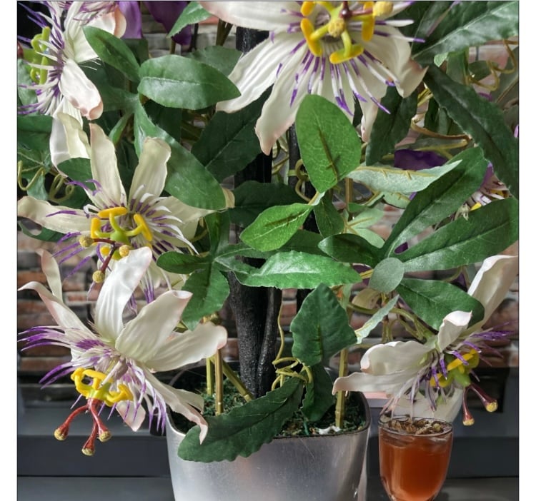 光触媒 人工観葉植物 ウォールグリーン フェイクグリーン レッドスター