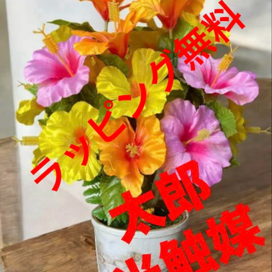 68366a3ff6398e5e90864bc2