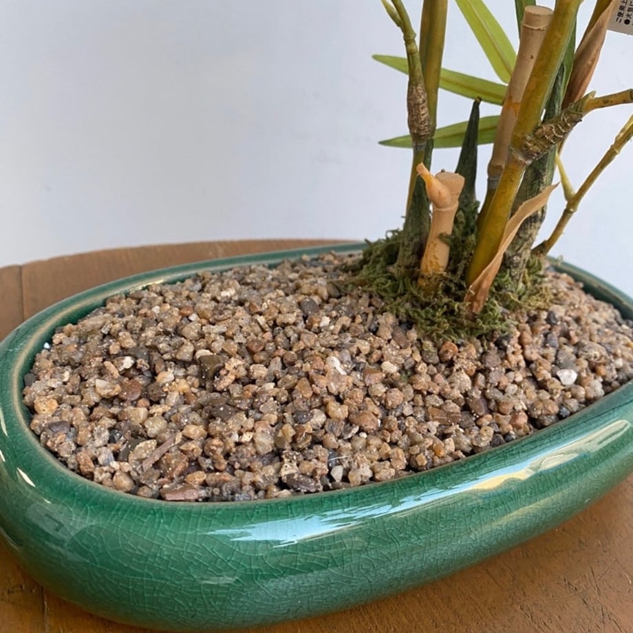 6823e9df7c077dbd504970b3