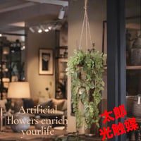 光触媒　人工観葉植物　ウォールグリーン　フェイクグリーン　フィットニアハンギング@@