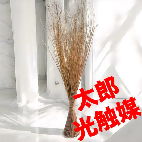 光触媒　人工観葉植物　ウォールグリーン　フェイクグリーン　ゴールドブランチ964