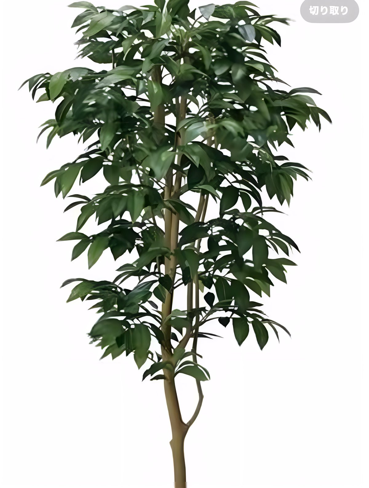 光触媒　人工観葉植物　ウォールグリーン　フェイクグリーン アルデシア130 光触媒 人工観葉植物 ウォールグリーン フェイクグリーン アルデシア