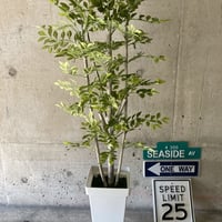 光触媒　人工観葉植物　ウォールグリーン　フェイク　アレンジ　バラタワー