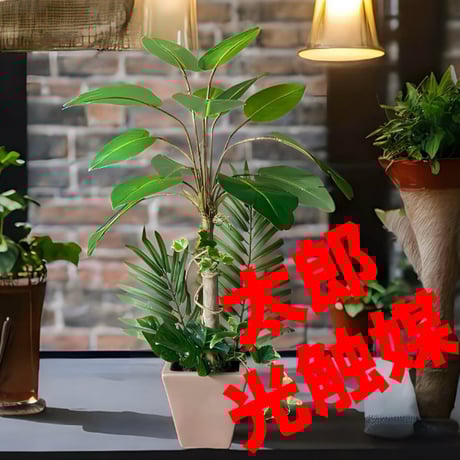 光触媒　人工観葉植物　ウォールグリーン　フェイクグリーン　カンナアレンジ7