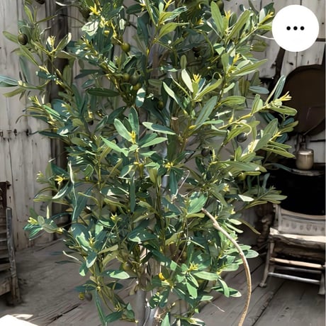 光触媒　人工観葉植物　ウォールグリーン　フェイクグリーン　オリーブtja