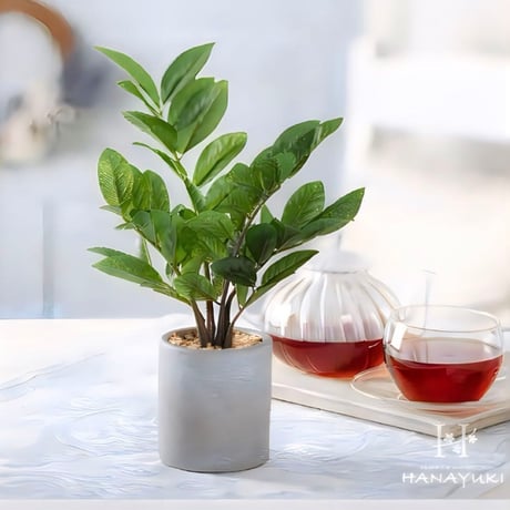 光触媒　人工観葉植物　ウォールグリーン　フェイクグリーン　ザミフォリアセメント
