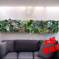 光触媒　人工観葉植物　ウォールグリーン　フェイクグリーン　壁掛け12020128