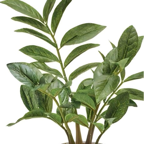 光触媒　人工観葉植物　ウォールグリーン　フェイクグリーン　ザミフォリアセメント