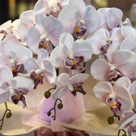 光触媒　人工観葉植物　ウォールグリーン　フェイクグリーン　胡蝶蘭7547