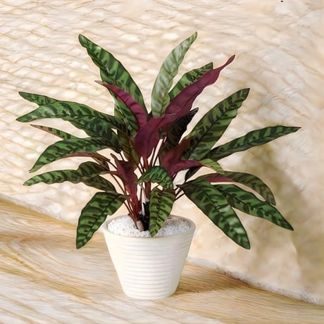 光触媒　人工観葉植物　ウォールグリーン　フェイクグリーン　ランキフォリア40