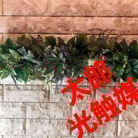 光触媒　人工観葉植物　ウォールグリーン　フェイクグリーン　フレッシュアセビ1.8 光触媒 人工観葉植物 ウォールグリーン フェイクグリーン フレッシュ