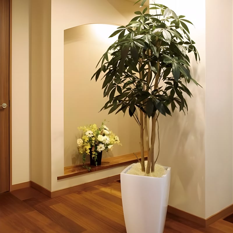 光触媒　人工観葉植物　フェイクグリーン　アーバンパキラ1.8m 光触媒 人工観葉植物 フェイクグリーン アーバンパキラ1.8 | 太郎's STORE