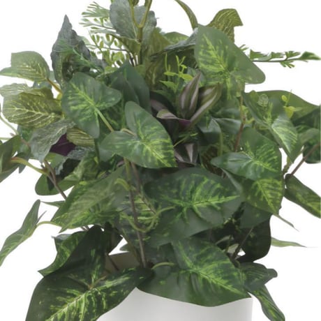 光触媒　人工観葉植物　ウォールグリーン　フェイクグリーン　ミックスカラジューム