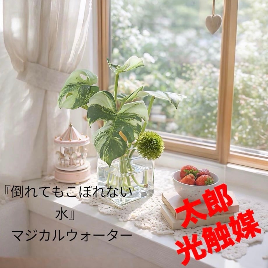 69b4ca77fdfc8dbb0c7b9bea