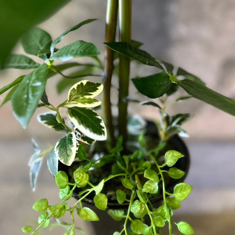 光触媒 人工観葉植物 ウォールグリーン フェイクグリーン パキラ6343