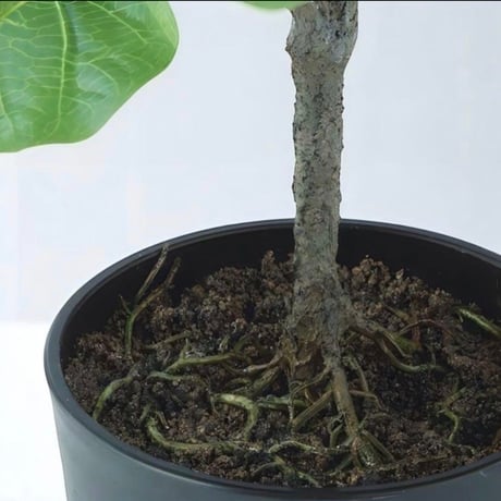 光触媒　人工観葉植物　ウォールグリーン　フェイクグリーン　デコラゴムルーツポット