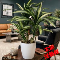 光触媒 人工観葉植物 ウォールグリーン フェイクグリーン