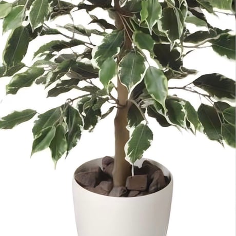 光触媒　人工観葉植物　ウォールグリーン　フェイクグリーン　ゴールデンフィカス1.0