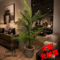 光触媒　人工観葉植物　ウォールグリーン　フェイクグリーン　花器付アレカヤシ147