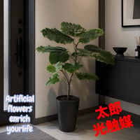 光触媒　人工観葉植物　ウォールグリーン　フェイクグリーン　ＨＱウンベラータルーツ@@