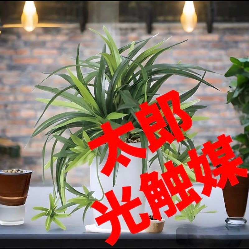 光触媒 人工観葉植物 ウォールグリーン フェイクグリーン ドラセナ