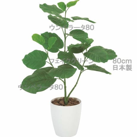 光触媒　人工観葉植物　ウォールグリーン　フェイクグリーン　ウンベラータ80センチ