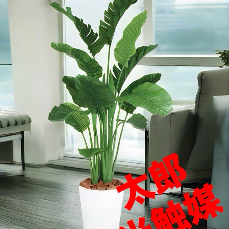 光触媒 人工観葉植物 ウォールグリーン フェイクグリーン ストレリチア 
