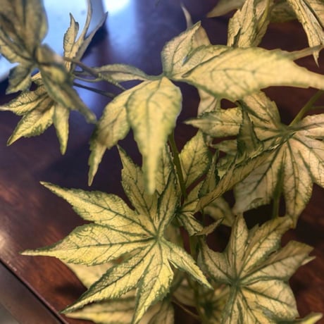 光触媒　人工観葉植物　ウォールグリーン　フェイクグリーン　ケナフスプレー下枝付き