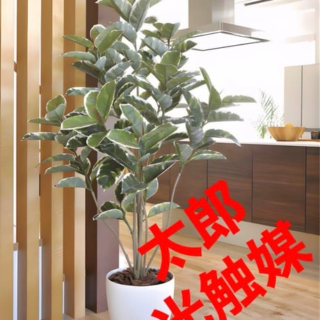 光触媒 人工観葉植物 ウォールグリーン フェイクグリーン クッカバラ