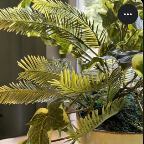 光触媒　人工観葉植物　ウォールグリーン　フェイクグリーン　ポーランドアイビーＡＬ