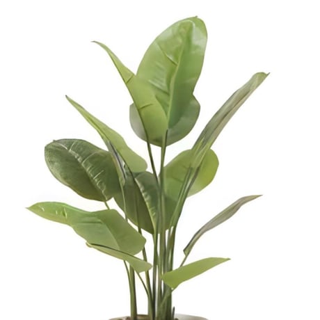 光触媒　人工観葉植物　フェイクグリーン　フレッシュスキンダプサス1.0