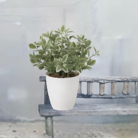 光触媒　人工観葉植物　ウォールグリーン　フェイクグリーン　ミニリーフLgpt