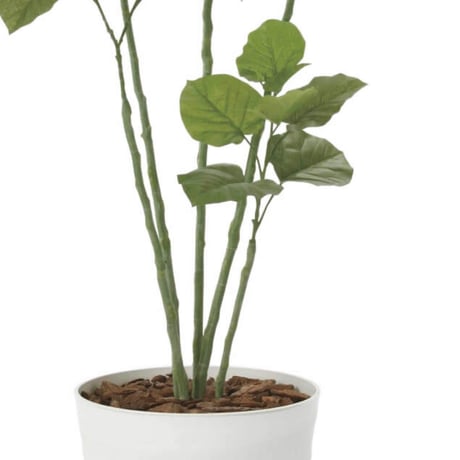光触媒　観葉植物　ウォールグリーン　フェイクグリーン　ブランチウンベラータ1.6