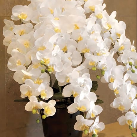 光触媒　人工観葉植物　ウォールグリーン　フェイクグリーン　フレッシュロング胡蝶蘭７本立Ｗ