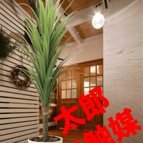 光触媒人工観葉植物ウォールグリーンフェイクグリーンドラセナg/h 光触媒人工観葉植物ウォールグリーンフェイクグリーンドラセナg/h