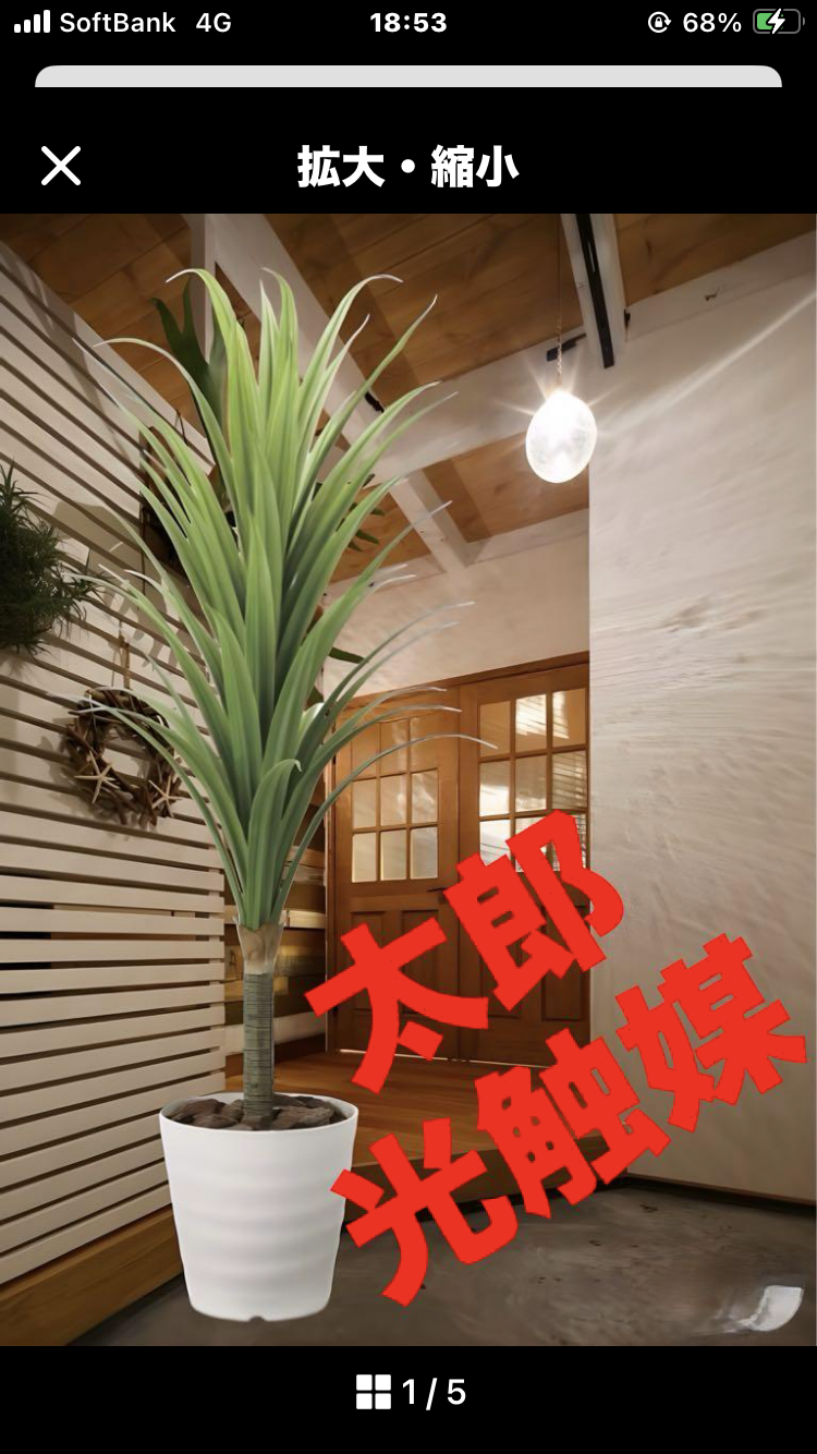 光触媒 人工観葉植物 フェイクグリーン ドラセナ 高さ 1.8m 光触媒 人工観葉植物 フェイクグリーン ドラセナ 高さ 1.8m