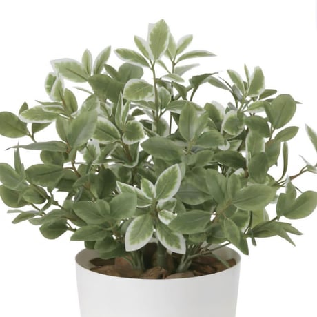 光触媒　人工観葉植物　ウォールグリーン　フェイクグリーン　ミニリーフLgpt
