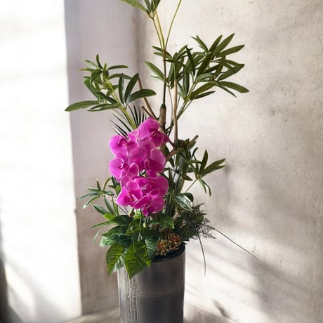 光触媒　人工観葉植物　ウォールグリーン　フェイクグリーン　シェフレラアレンジR