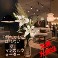光触媒　人工観葉植物　ウォールグリーン　フェイクグリーン　マジカルウォーター8650