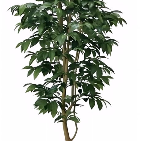 光触媒　人工観葉植物　フェイクグリーン　アルデシア(万両) 高さ 1.6m