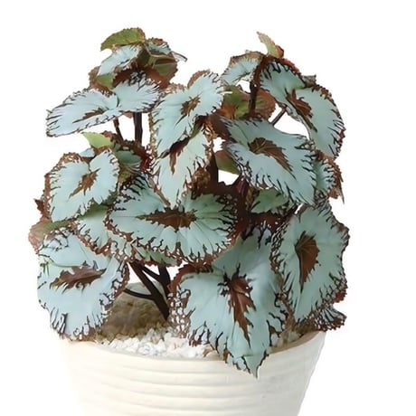 光触媒　人工観葉植物　ウォールグリーン　フェイクグリーン　ベコニア2027