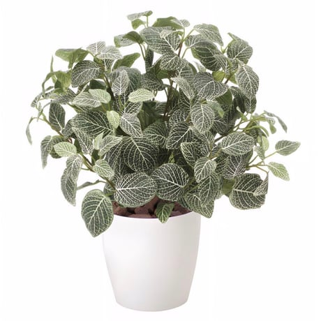 光触媒　人工観葉植物　ウォールグリーン　フェイクグリーン　フィットニアM