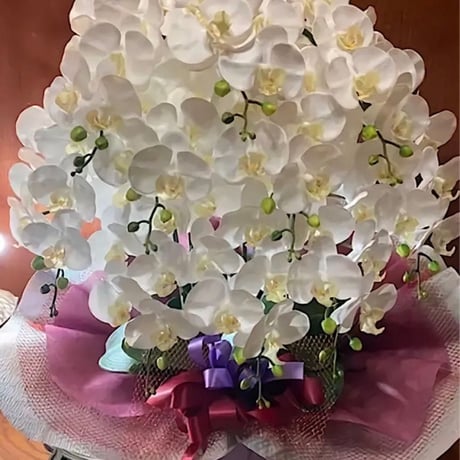 光触媒　人工観葉植物　ウォールグリーン　フェイクグリーン　リアル胡蝶蘭10本