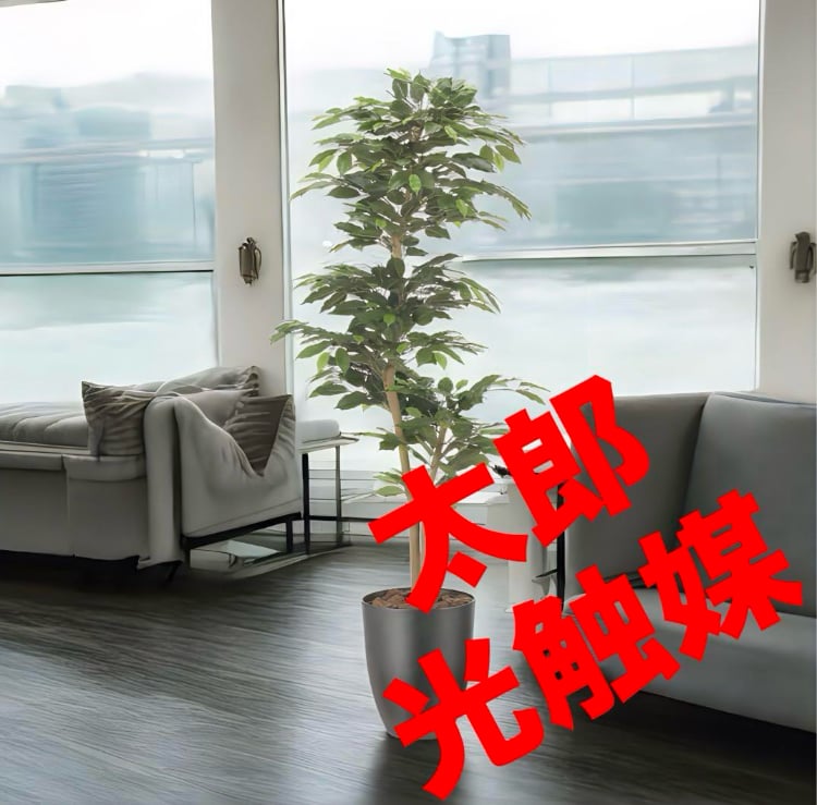 光触媒　人工観葉植物　フェイクグリーン　インテリアベンジャミン1.6 光触媒 光の楽園 ベンジャミンツリー 1.8m【インテリア フェイク