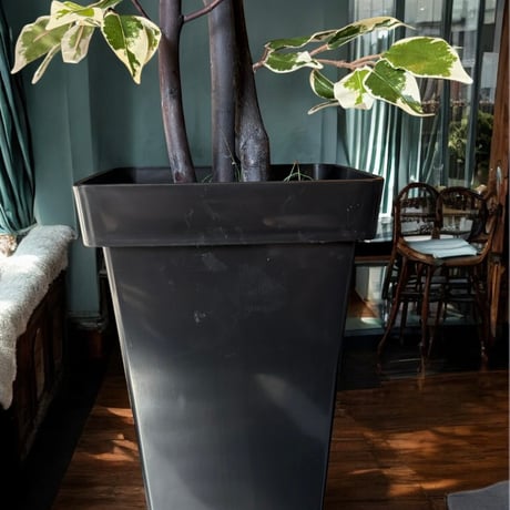 光触媒　人工観葉植物　ウォールグリーン　フェイクグリーン　斑入りベンジャミン12