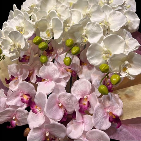 光触媒　人工観葉植物　ウォールグリーン　フェイクグリーン　胡蝶蘭2色7343