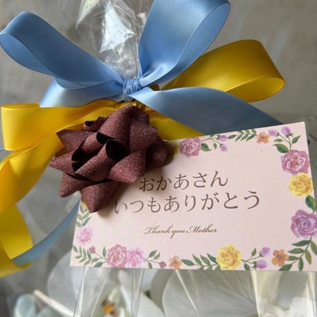 光触媒　人工観葉植物　ウォールグリーン　フェイクグリーン　胡蝶蘭7035aj