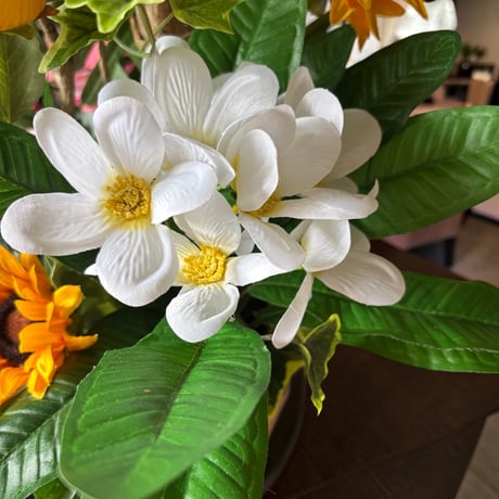 光触媒　人工観葉植物　ウォールグリーン　フェイクグリーン　ミニストレチア 72